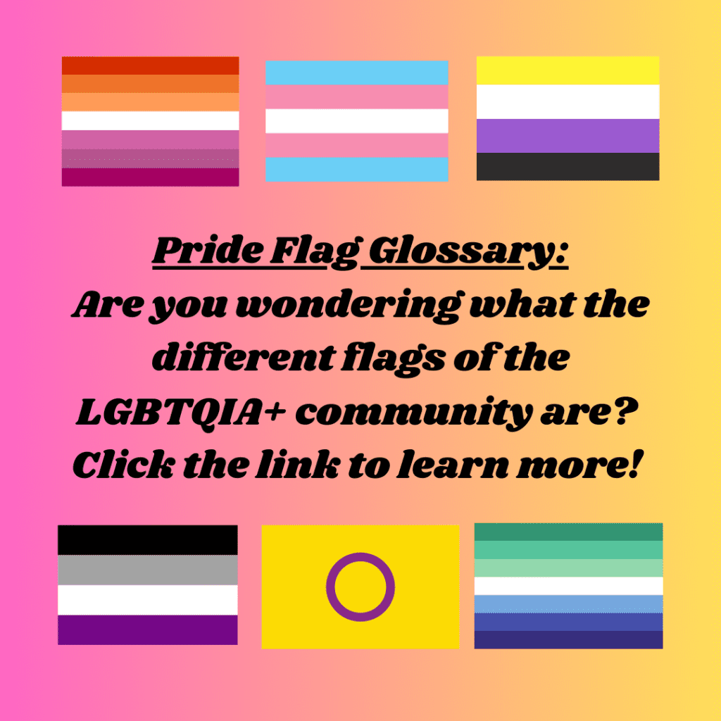 LGBTQIA+ pride flags glossary.