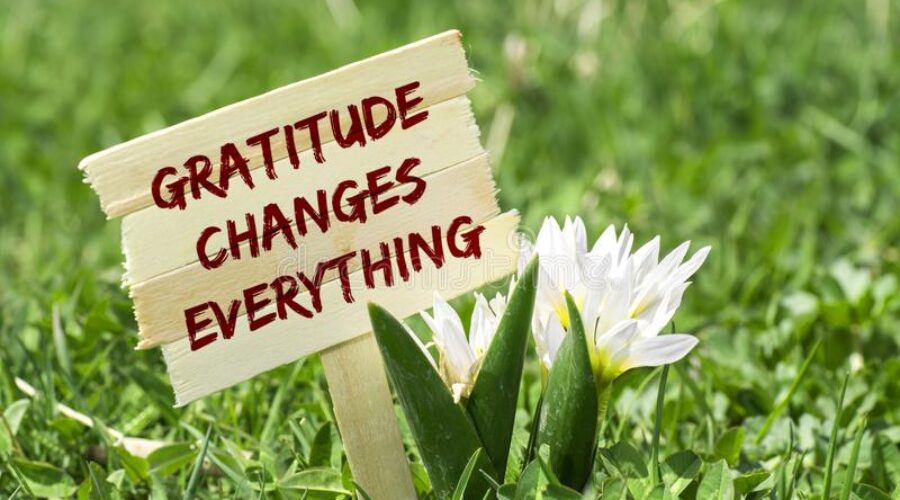 A sign that says gratitude changes everything