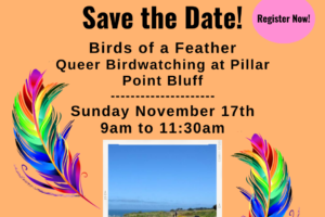 11/17 | Birds of a Feather Queer Birdwatching at Pillar Point Bluff from 9am-11:30am